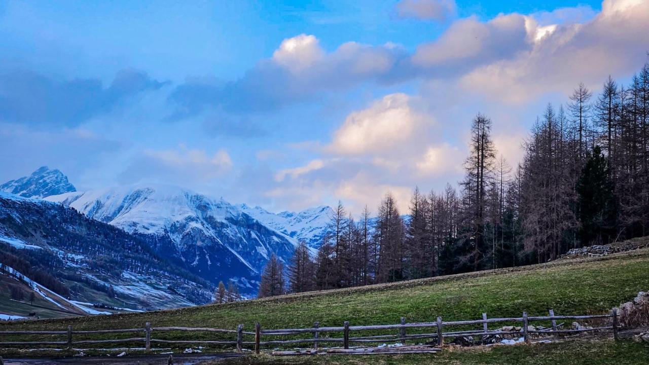 Agriturismo Bosco D'Oro 1 Apartman Livigno Kültér fotó
